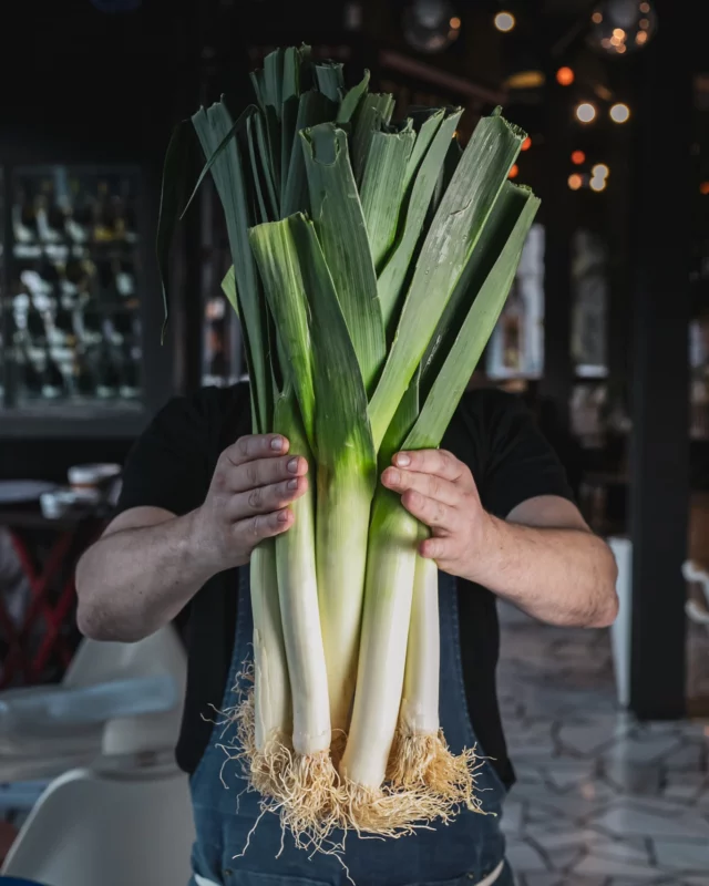 De cero a cien 🌱🔥 No hay ingrediente “humilde” que se resista a transformarse en un bocado inolvidable de nuestra carta.

・・・

De zero a cent 🌱🔥 No hi ha cap ingredient “humil” que es resisteixi a transformar-se en un mos inolvidable de la nostra carta.

・・・

From zero to a hundred 🌱🔥 There’s no “humble” ingredient that can resist being transformed into an unforgettable bite on our menu.